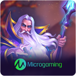 MICROGAMING PLUS